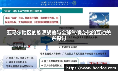 亚马尔地区的能源战略与全球气候变化的互动关系探讨